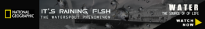 web banner advert